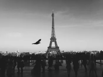 Partenaires